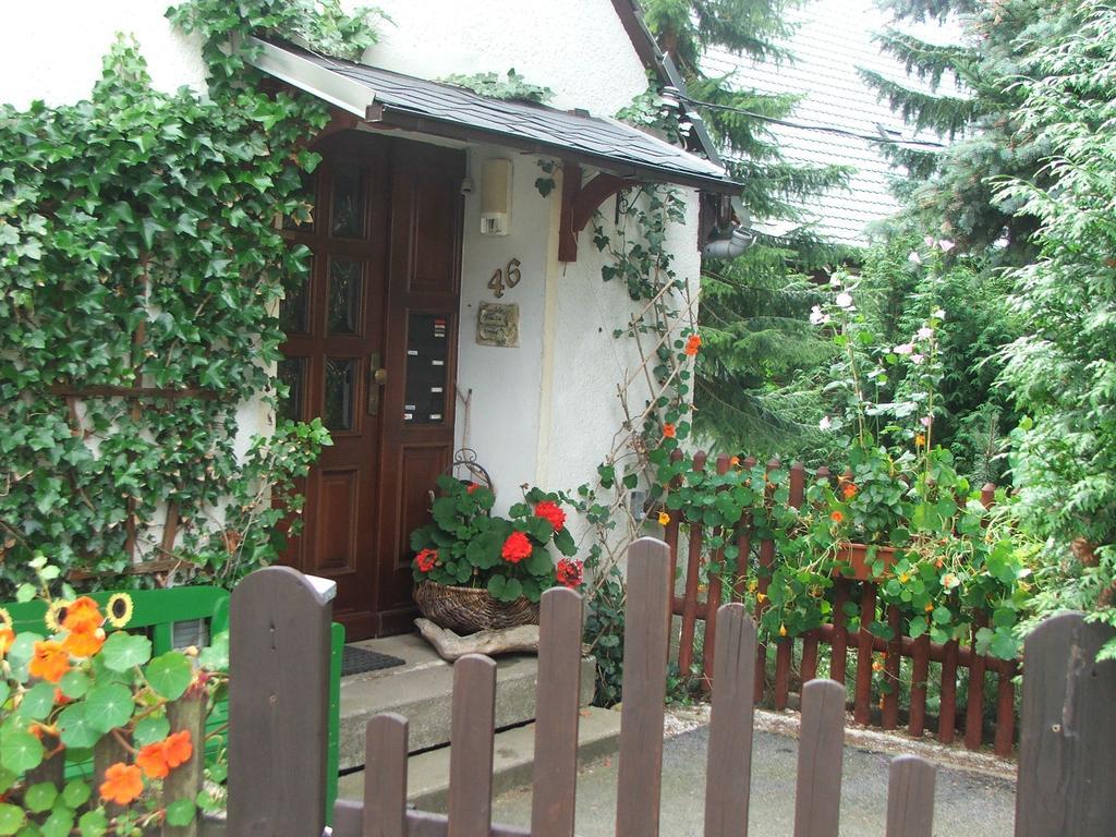 Ferienwohnung Grenzblick Обервізенталь Екстер'єр фото